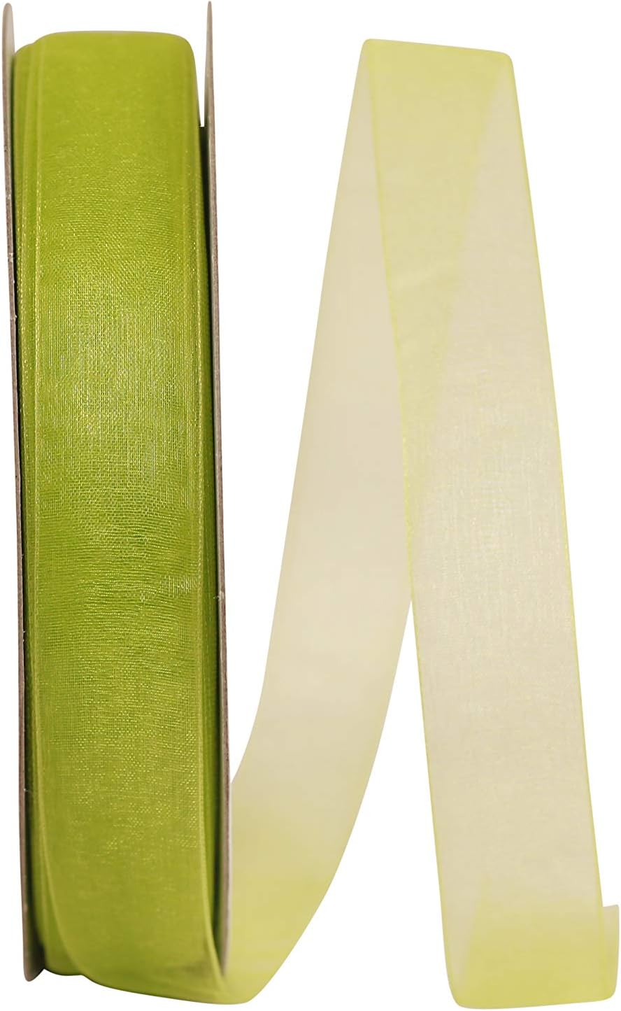 Reliant Ribbon Chiffon Mono Sheer Ribbon, 7/8 Inch X 100 Yards, Kiwi