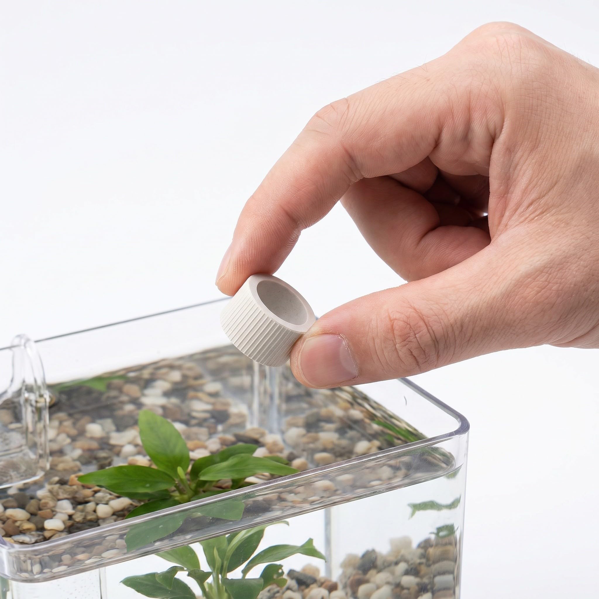 LALAFINA 30 Unidades Anillo Fijo para Acuario de Cerámica para Plantas Acuáticas Instalación Simple y Versátil, Adecuado para Acuarios y Tanques de Agua Salada