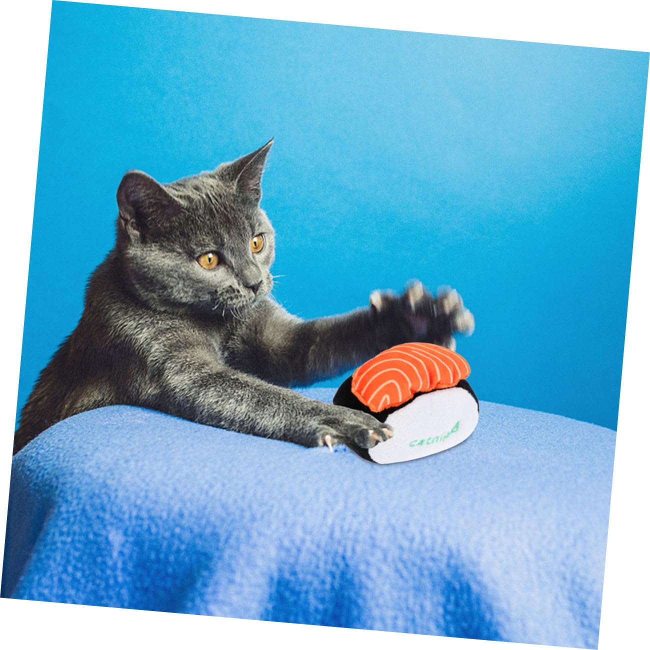 POPETPOP 6 STK Katzen-Sushi-Spielzeug Haustier Geburtstag Der Katze Beißspielzeug Für Katzen Interaktives Spielzeug Backenzahnspielzeug Für Hunde DIY Minze -Teaser Plüsch