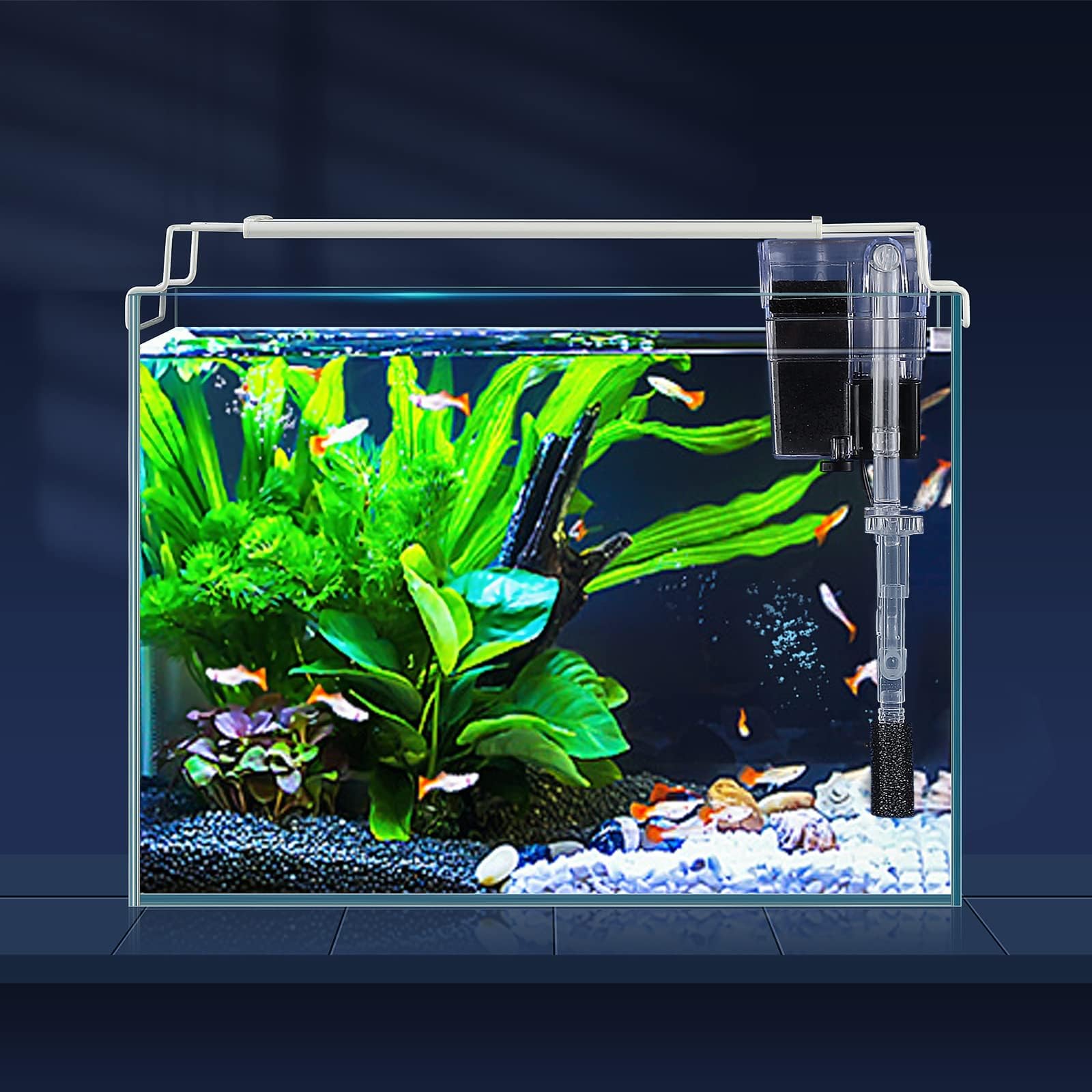 3 Gallon Fish Tank with Filter & Light