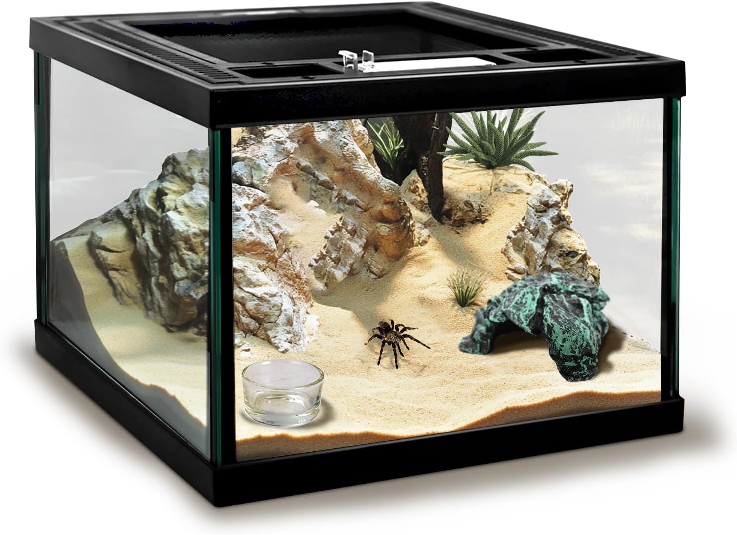 Mini Reptile Glass Tank 8 * 8 * 6inch Terrarium for Start with Top Ventilation for Turtle,Spider,Hermit Crab,Geock,Frog AMD Beard Dragon