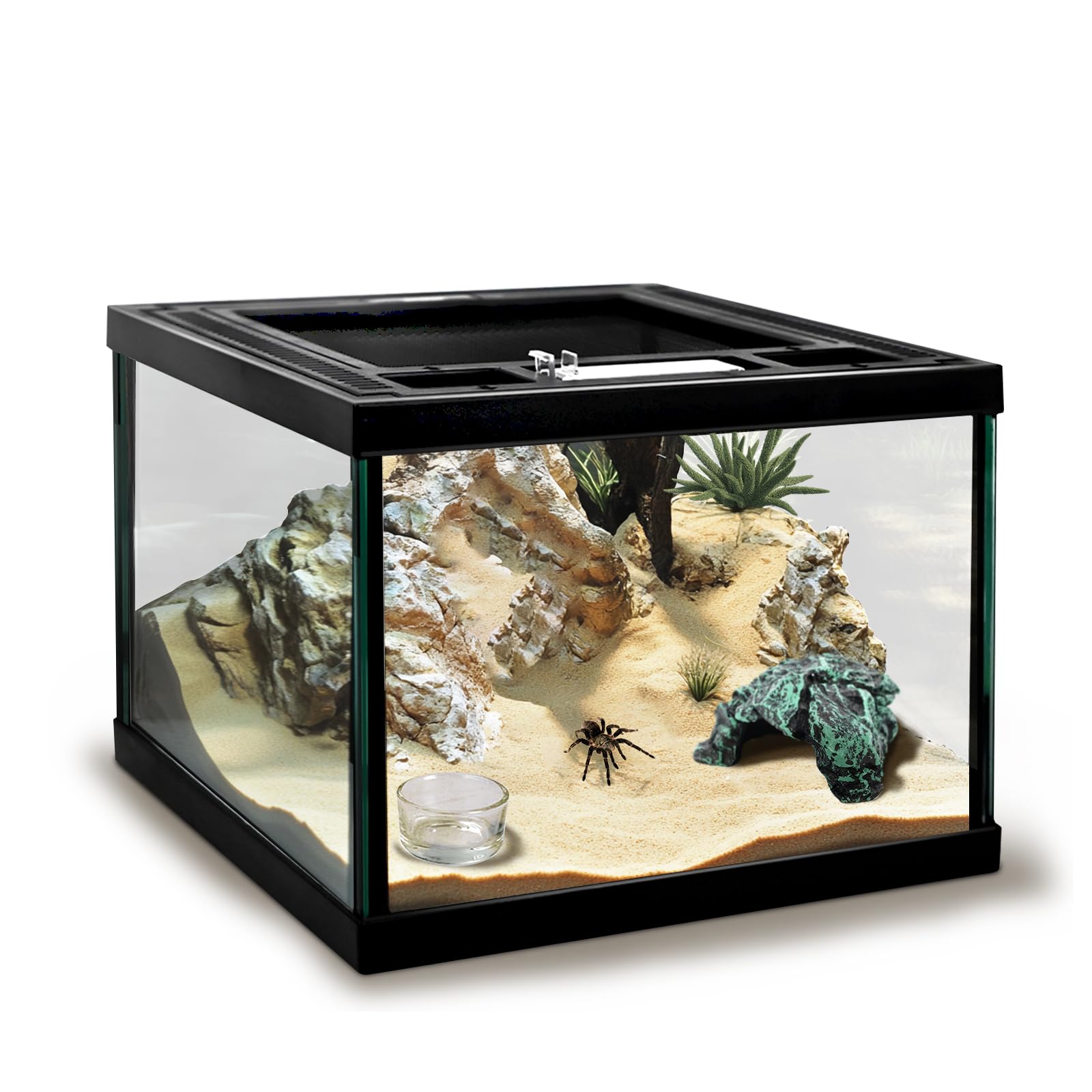 Mini Reptile Glass Tank 8 * 8 * 6inch Terrarium for Start with Top Ventilation for Turtle,Spider,Hermit Crab,Geock,Frog AMD Beard Dragon
