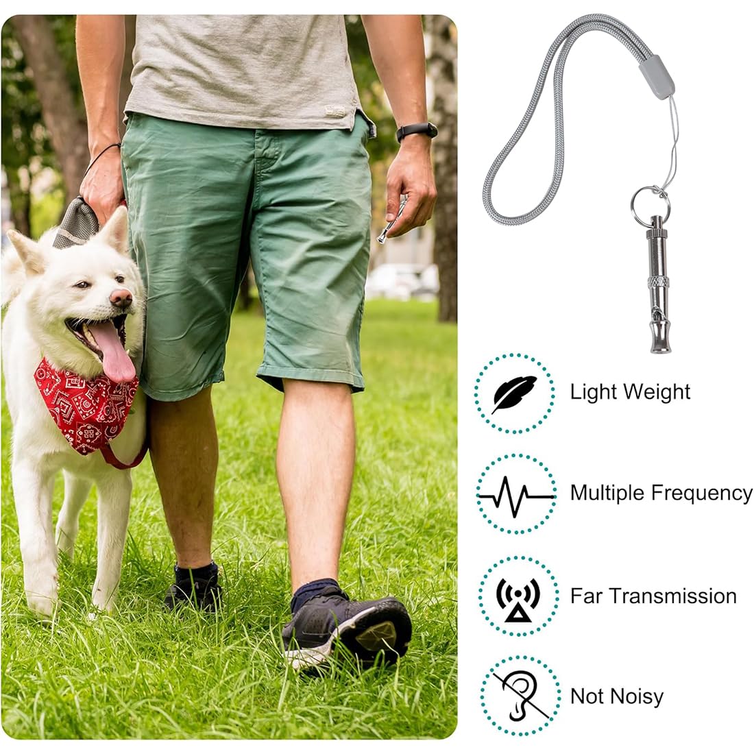 2 Pcs Sifflet pour Chien avec lanière, Sifflet pour Compagnie en Acier Inoxydable à fréquence réglable, Sifflet à ultrasons Professionnel pour l'entraînement et Le contrôle des aboiements