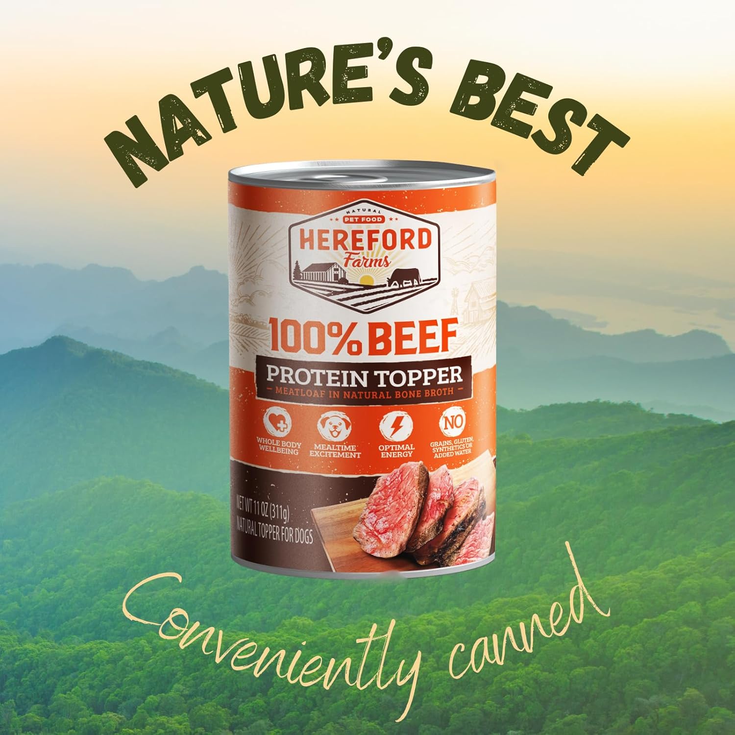 100% Beef Wet Dog Food, Single Ingredient, Protein-Rich Mixer and Topper, Meatloaf in Bone-Broth, 11oz. can (Pack of 12)