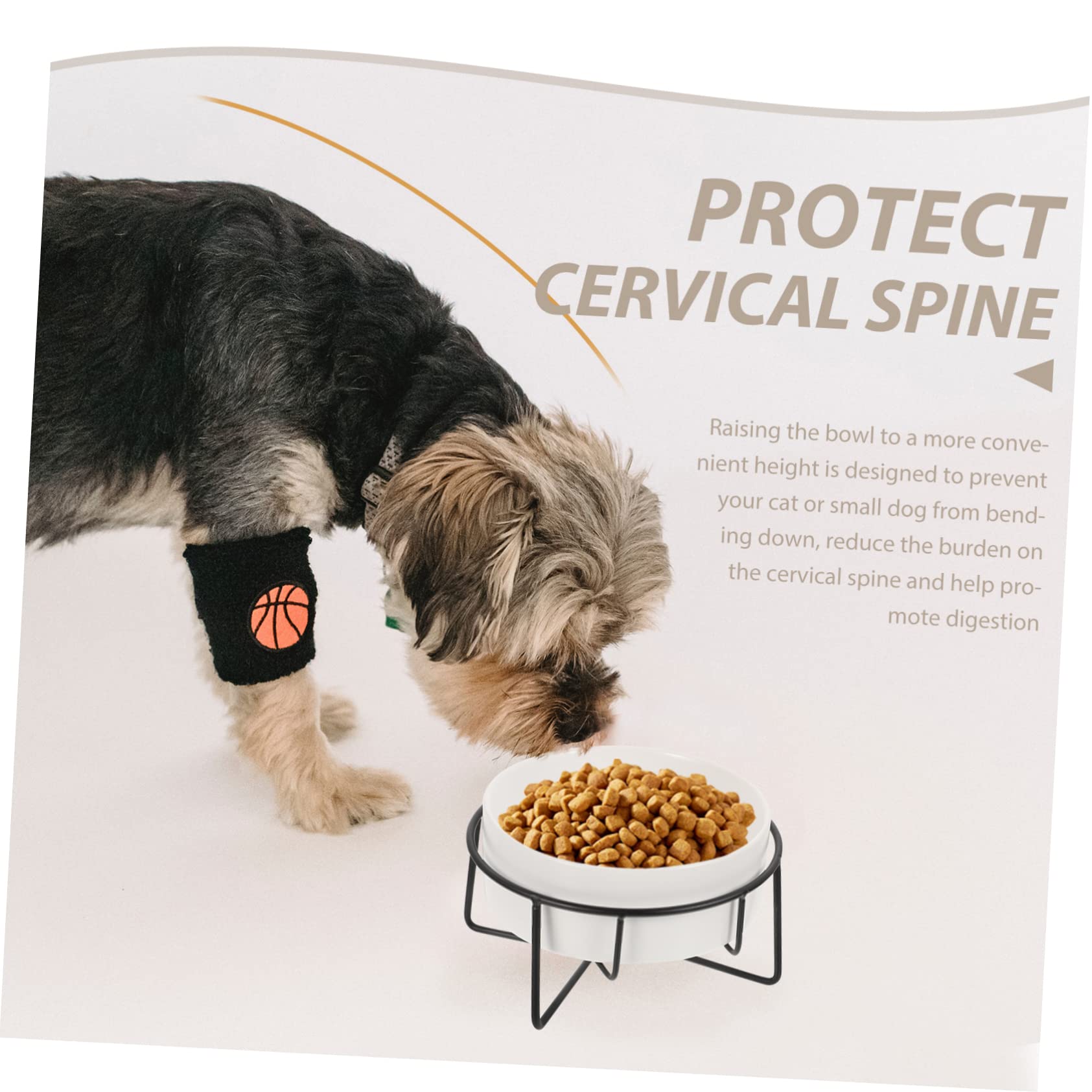 Toyvian Ciotola Rialzata in Ceramica Protezione del Collo, Facile da Pulire 400ml per Gatti e Cuccioli per Cibo e Acqua
