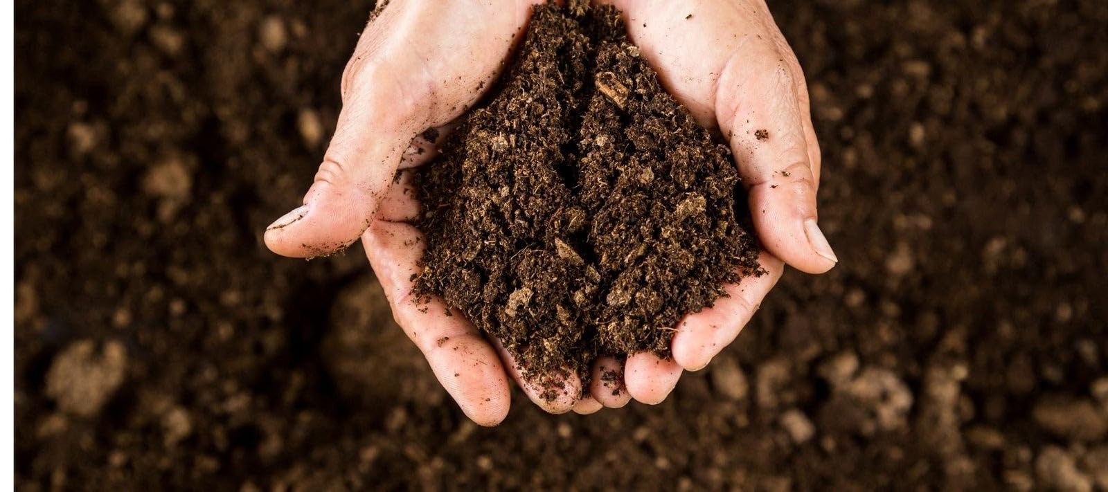 Khushal's Kitchen Waste Decomposer, All in one Bio decomposer Kitchen Waste Compost Maker for Organic Compost, Food Waste decomposer for All Kitchen Waste and bio-degradable Waste (2 Kg)