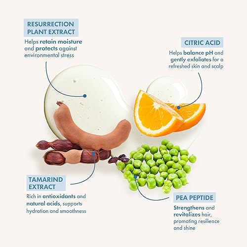 Miniatura 3 de Enjoy Champú voluminizador, champú para cabello tratado con color, champú para hombres y mujeres, champú para cabello rizado, 10.1 onzas líquidas