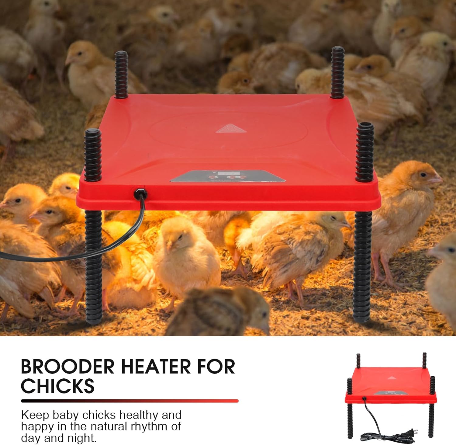 Chick Brooder Box,Chick Starter Kit with Chicken Brooder Heating Plate, Chicks Perch, Flip Top Poultry Feeder, Baby Supplies for Baby Chicks, Duck and Quail