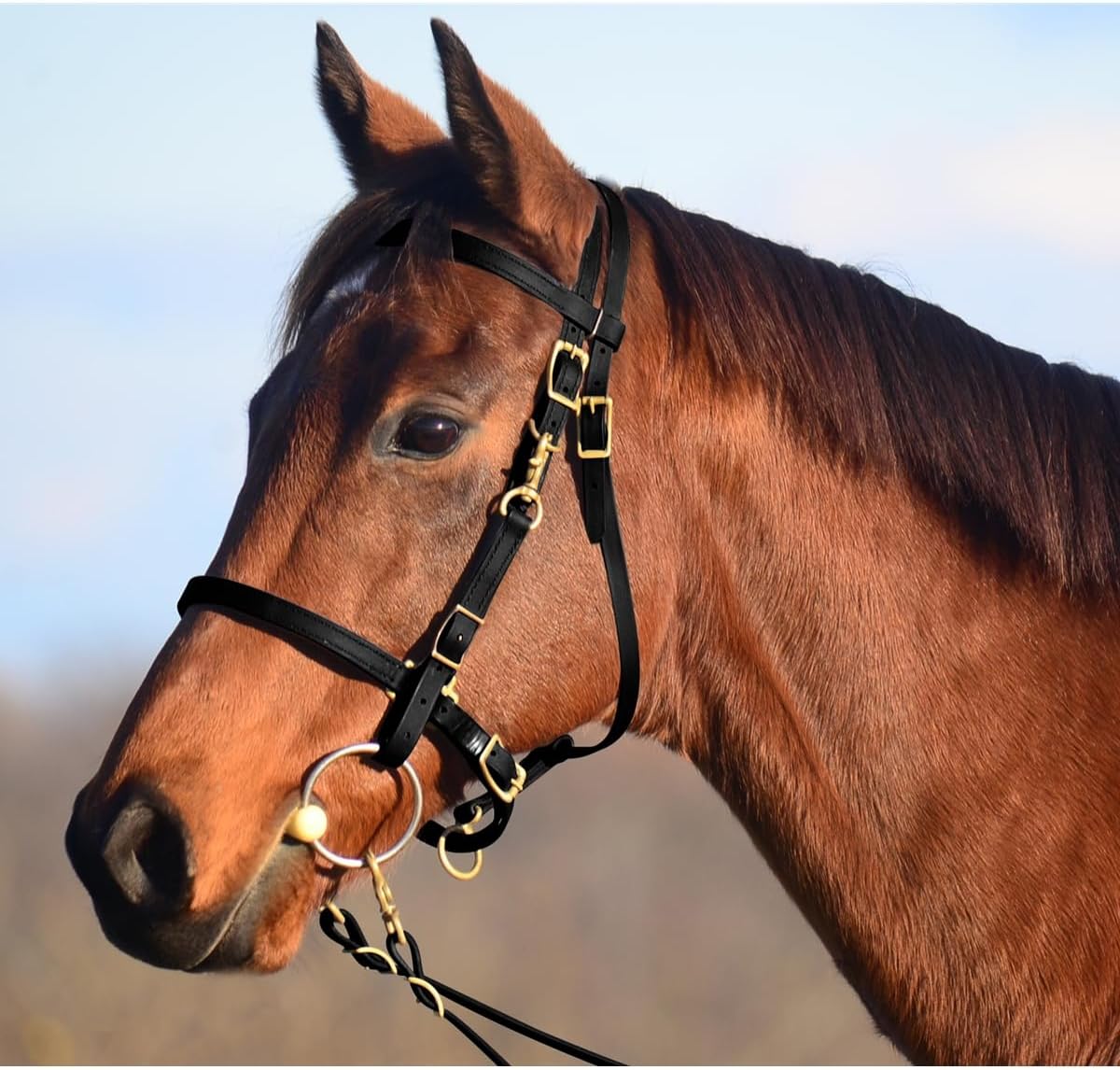 English Bridle Cowhide Genuine Leather Headstall Reins Horse Crossover Crossunder Raised Fancy Stitched Laced All Purpose Jumping Dressage Rubber Crystal Padded Adjustable Browband Full-Cob,M74