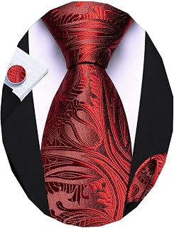 Barry Wang Burgundy Paisley Necktie Cufflinks