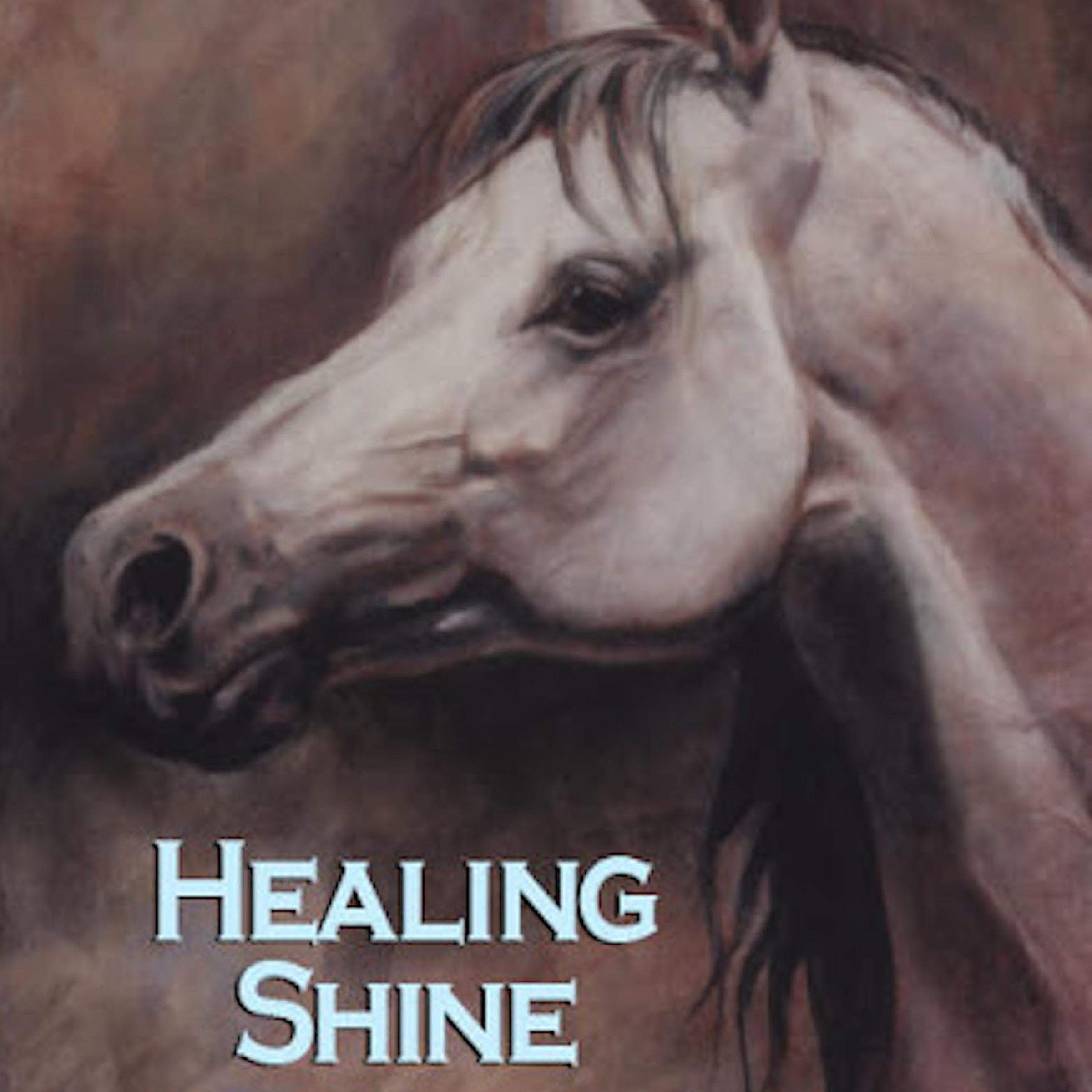 Healing Shine: A Spiritual Assignment