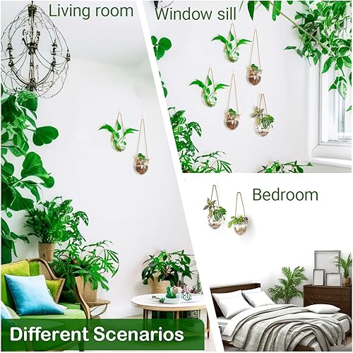 Miniatura 121 de Ivolador - Terrario de cristal colgante, maceta para plantas hidropónicas, decoración para el hogar