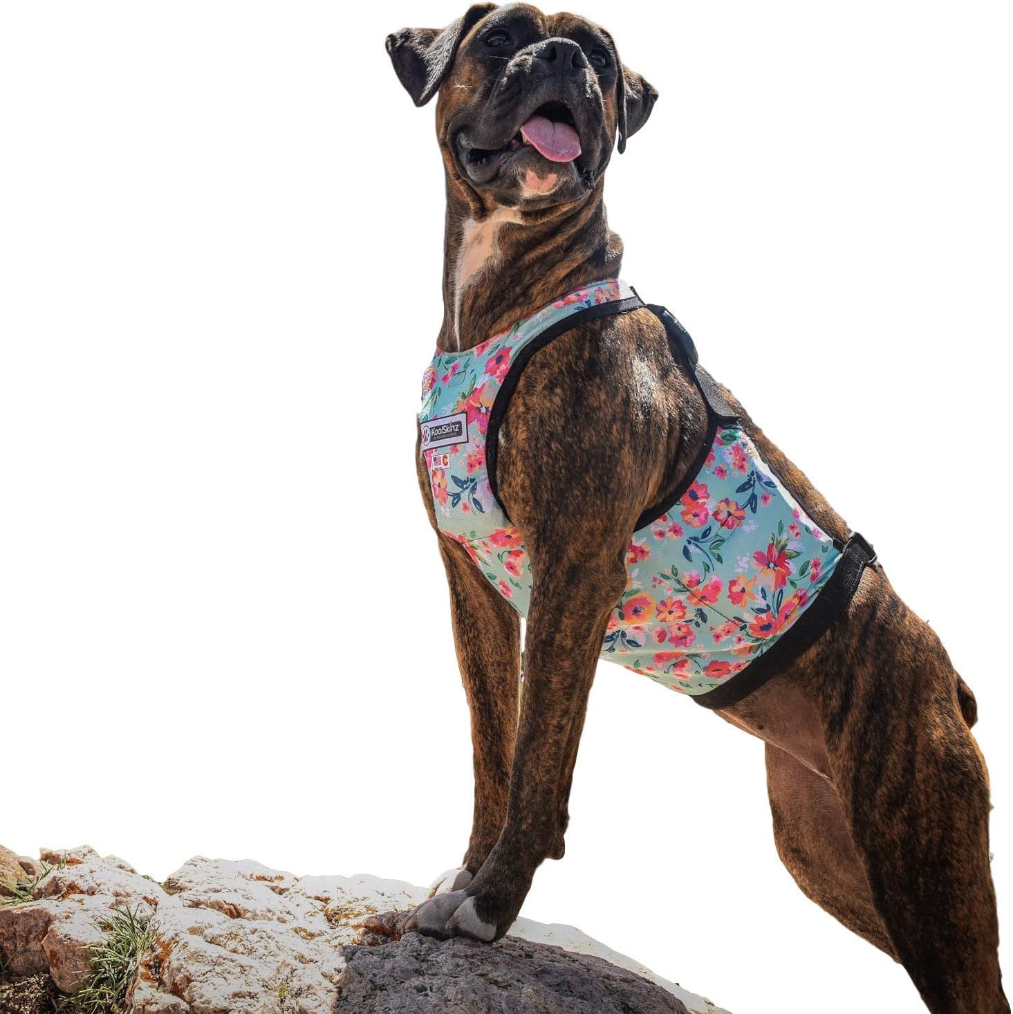 KoolSkinz Pet Cooling and Heating Vest for Dogs and Cats Adjustable, Lightweight