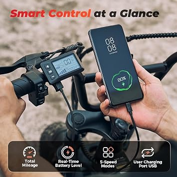 Electric Bike, 16 Fat Tire 1000W Peak Motor Retro Electric Dirt Bike for Adults 55 Miles Pas Range, 20MPH Full Suspension Banana Seat Ebikes with Pump, Frame Bag for Teens