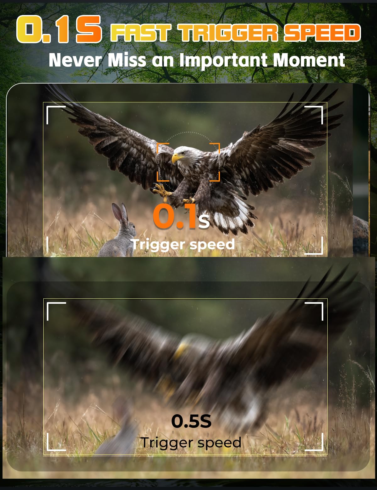 Cámara de Caza 4K 30fps, 60MP Camara Fototrampeo Nocturna 940nm Invisibles IR Leds, Diseño de Temporizadorn, IP66 Impermeable para Monitoreo de Vida Silvestre y Vigilancia del Hogar
