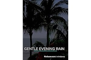 Gentle evening rain