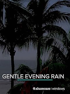 Gentle evening rain