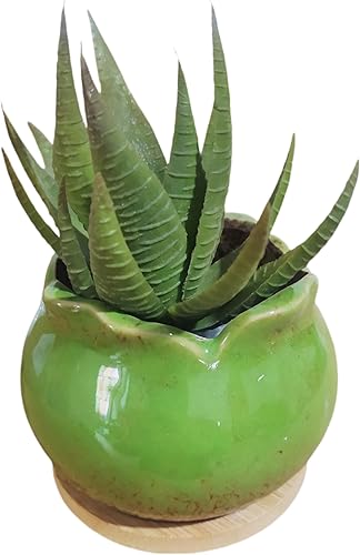 Miniatura 7 de Maceta circular de cerámica de 7.3 pulgadas para decoración del hogar, jardín, suculentas, cactus, maceta con bandeja de bambú, planta no incluida