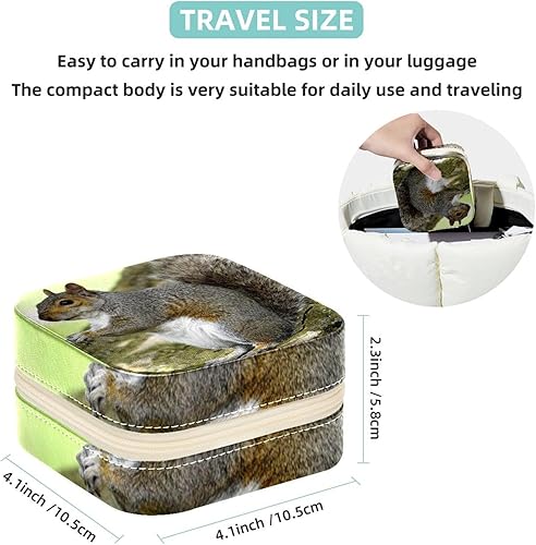 Miniatura 5 de KQNZT Cajas de joyería para mujeres, niñas, caja de joyería portátil, mini joyero, ardilla animal