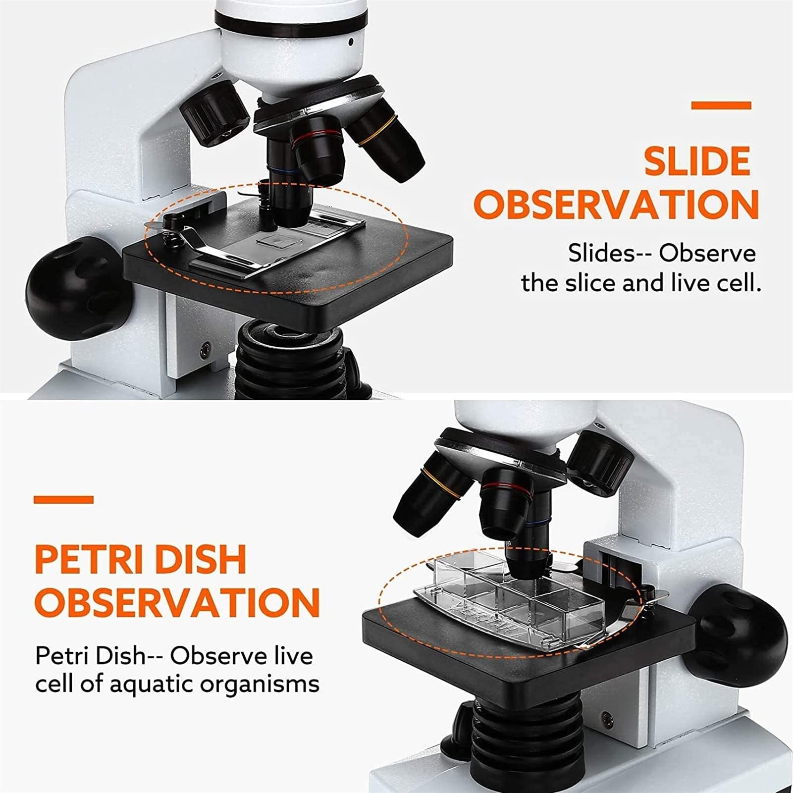 40-1600X Microscopi for i Bambini Studenti Adulti Potente Formazione biologici Microscopi con scivoli Set Adattatore telefonico