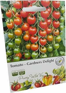 Gardeners Delight Tomato Seeds in Pictorial Packet from UK Seller