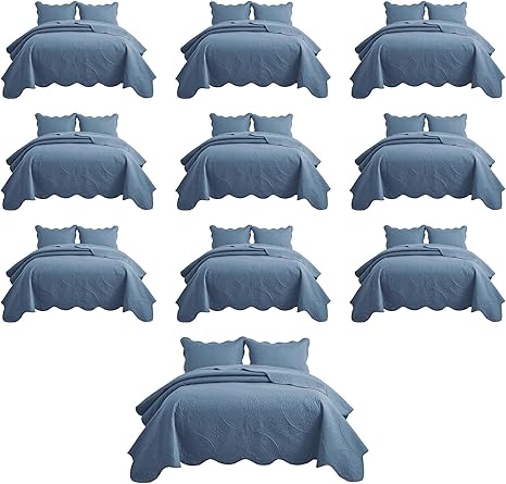 IR Imperial Rooms 10 Pack Queen Quilt Bedding Set (90" x 96") - Bulk Wholesale for Hotels, Guest Bedroom & Airbnbs - Lightweight Microfiber Reversible Floral Embossed Quilts Bedspreads (Light Blue)
