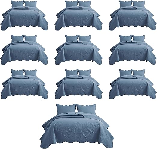IR Imperial Rooms 10 Pack Queen Quilt Bedding Set (90" x 96") - Bulk Wholesale for Hotels, Guest Bedroom & Airbnbs - Lightweight Microfiber Reversible Floral Embossed Quilts Bedspreads (Light Blue)