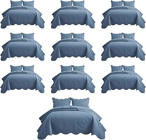 IR Imperial Rooms 10 Pack Queen Quilt Bedding Set (90" x 96") - Bulk Wholesale for Hotels, Guest Bedroom & Airbnbs - Lightweight Microfiber Reversible Floral Embossed Quilts Bedspreads (Light Blue)