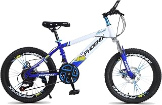 FUFU 20 Inch Children's Outdoor Bicycle, Suitable for Boys and Girls Between 9 and 14 Years Old, With Mudguard and Stand