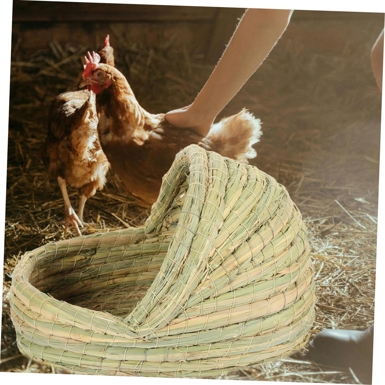 Nido per Galline a Forma di Pantofola in Paglia Intrecciata 2 Pezzi