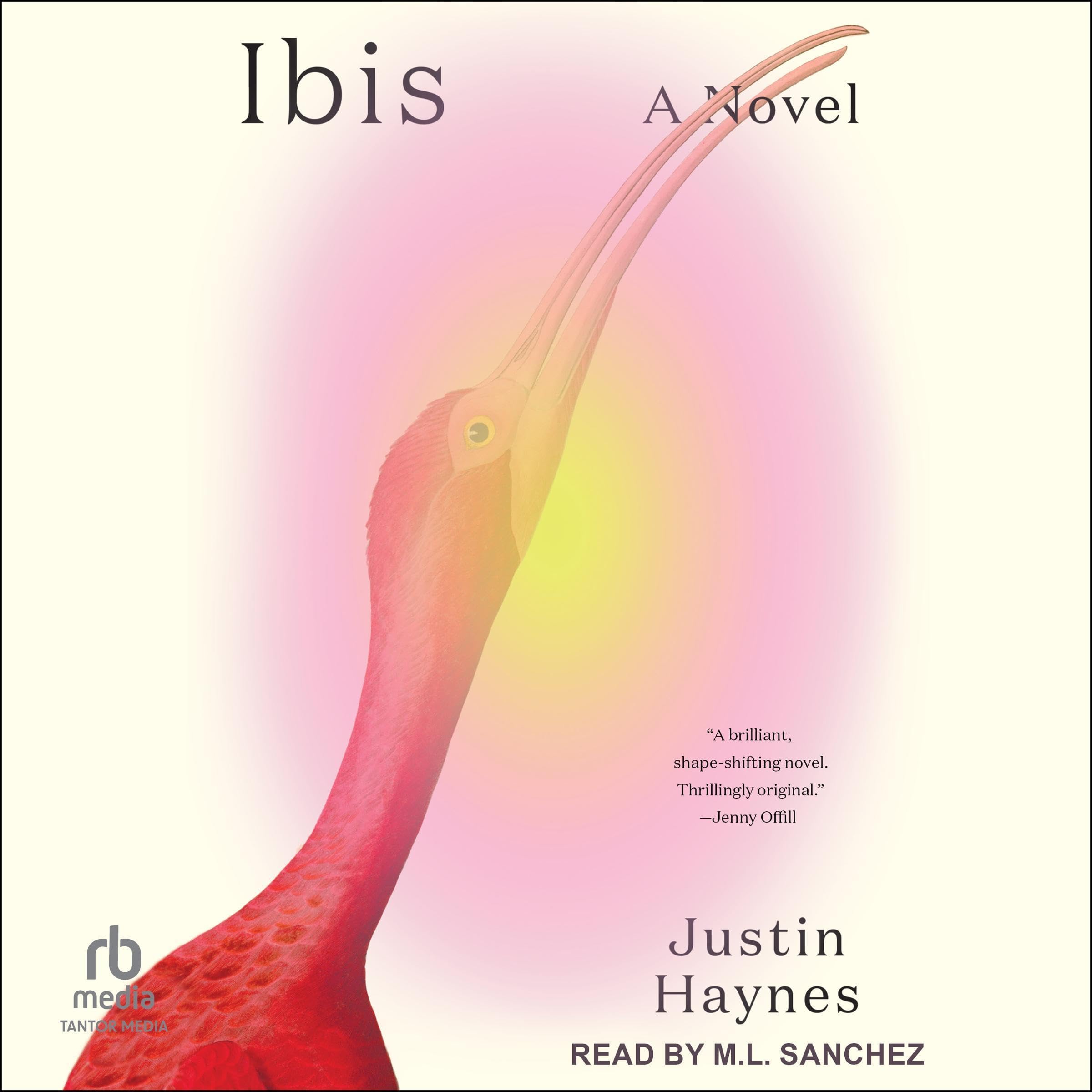 Ibis
