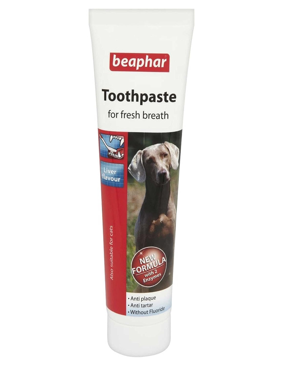 Beaphar Toothpaste for Fresh Breath, Liver, 100 g Amazon.in Pet Supplies
