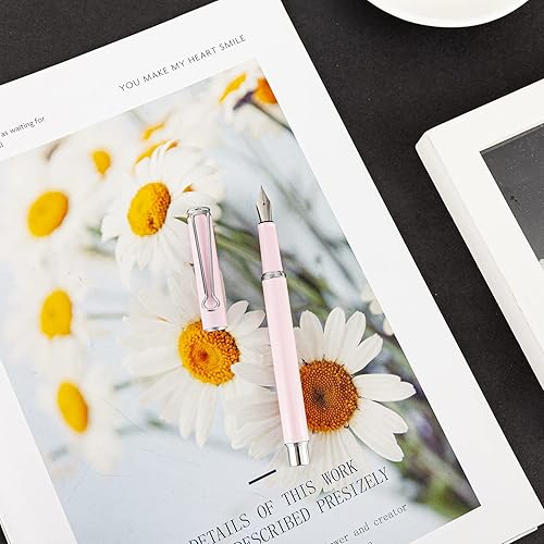 Vista 4 de AIHAO Pluma estilográfica recargable, punta fina, pluma estilográfica de metal con caja de regalo, tinta negra, 2 cartuchos de tinta en un juego