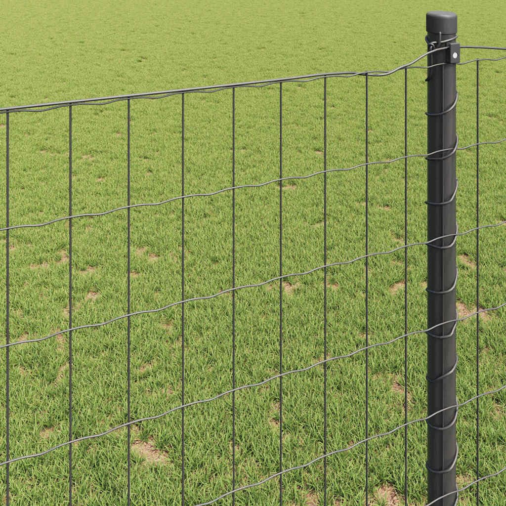 Eurozaun Grau 0,8 x 25 m PVC-beschichtetes Eisen Zaunfeld Gartenzaun Sichtschutz für Terrasse und Vorgarten mit Doppelstabmatte Maschendraht als Windschutz und Begrenzung