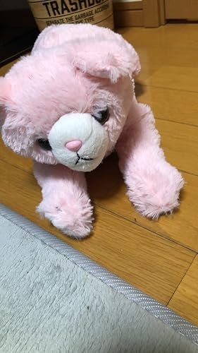 Amazon.co.jp: 夢ペット 産んじゃったシリーズ ねこ産んじゃった Amazon.co.jp: 夢ペット 産んじゃったシリーズ ねこ産んじゃった