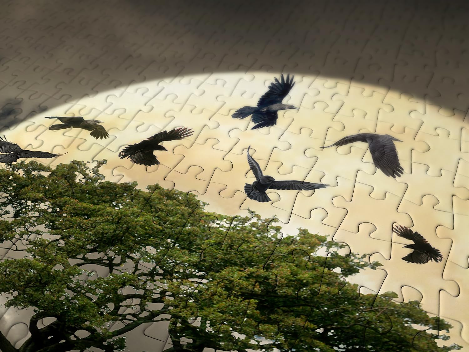 8-Quart Digital Air Fryer