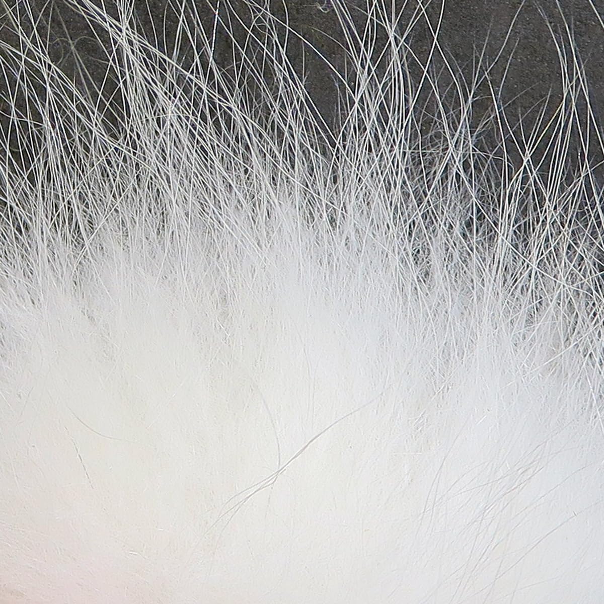 Hareline Fly Tying Arctic Fox Hair - White