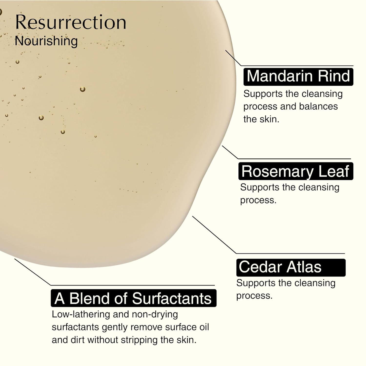 Aesop Resurrection & Reverence Aromatique Hand Wash Set – Nourishing Hand Wash & Gentle Exfoliating Hand Soap Duo | Botanical Cleansers Made with Hydrating Essential Oil Blend | 16.9 oz Each (2 Pack)