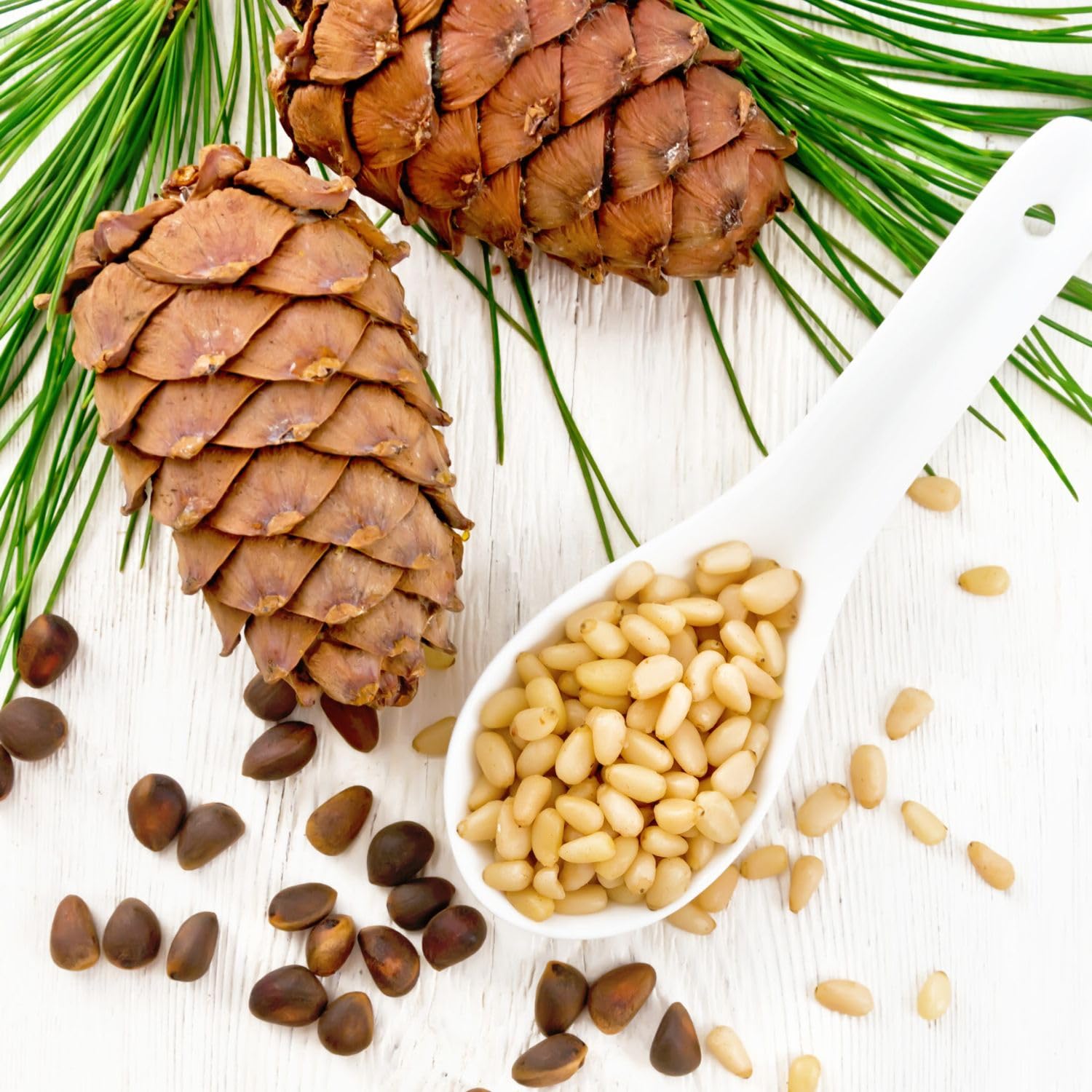 Bongiovanni Bontà Naturali Pinoli Seconda Scelta Mediterranei 1kg