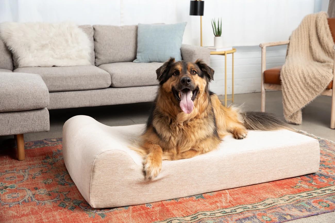 Barker Beds Large Orthopedic Dog Bed - 7" Pillow Top with Headrest - 50-70 lbs - Memory Foam for Joint Pain & Arthritis - Washable - 48"x30"x7" - Driftwood Linen