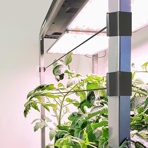 Miniatura 10 de AeroGarden Farm 24XL con kit de semillas para ensalada color negro