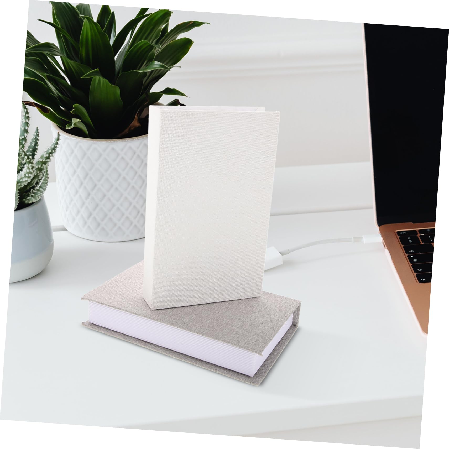 BIUDECO 2pcs Fake Book Models for Room Decor Book Ornament Home Aesthetic Decor