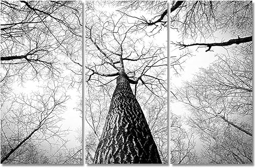 Miniatura 16 de 3 paneles de imágenes retro de cámara antigua, arte de pared sobre lienzo, pintura moderna para el hogar, decoración de pared, sala de estar, Obras