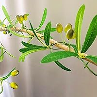 Vista 3 de Guirnalda de hojas de olivo artificiales con hojas colgantes de hiedra de olivo, enredaderas, ramas de olivo, guirnalda de vegetación para boda