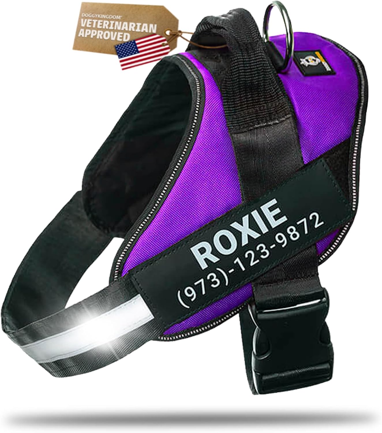 DOGGYKINGDOM Personalized Dog Harness with Custom Name Patches, No Choke, Reflective, Adjustable, Soft Padded Dog Vest Harness with Easy Control Handle for Growing Puppy Size Dog, Purple, XS