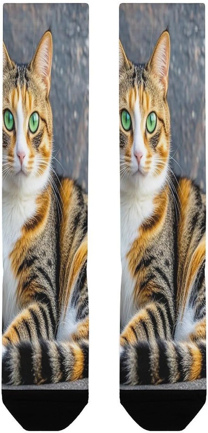 Cat Compression Socks for Men Women | Funny Novelty Knee High Socks, Breathable Cozy Soft Football Sock, Over The Calf Socks for Casual Work Athletic Sock & Gifts