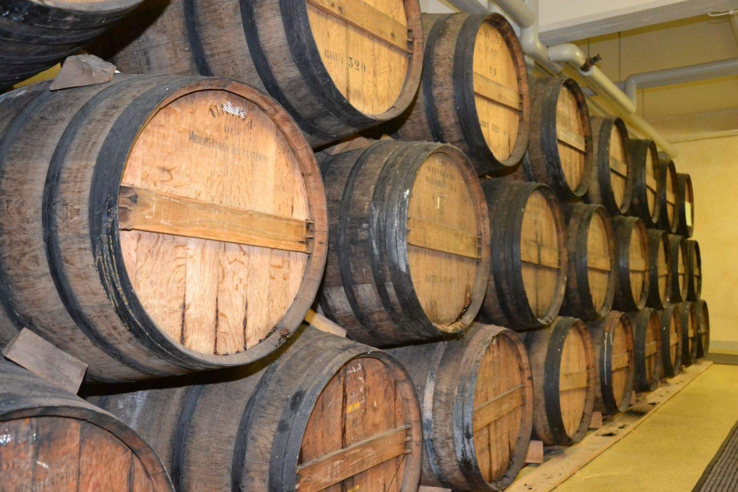 WILTHENER Cask Grande I Brandy in X.O.-Qualität I Pariser Fass von 1900 I Weinbrand des Jahres 2025 I 40% vol. I 0,7 l