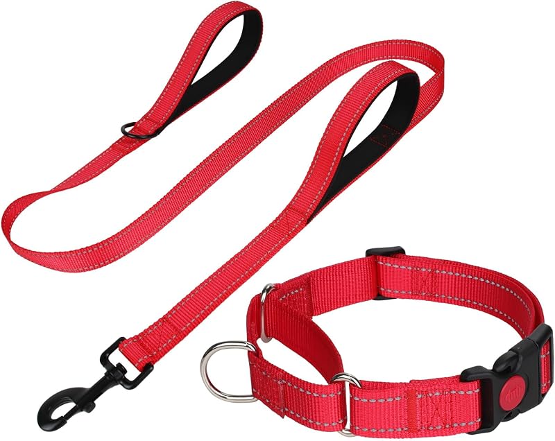Coleira Martingale para Cães com Guia de Duas Alças e Fivela com Trava FunTags, L