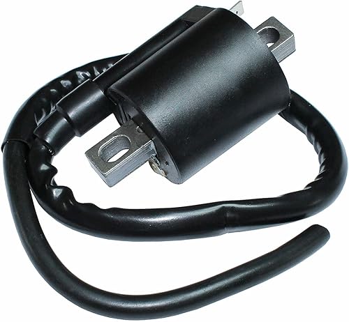 REPLACEMENT PART OEM For Ignition Coil for Polaris Scrambler 500 2X4 4X4 1997-2002 Atv Ignition Coil Index-DDR965-GTF1-54325