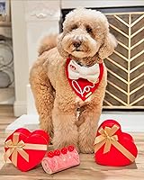 Vista 5 de CHEWFFON Dog Enrichment Toys, Dog Puzzle Interactive Toy, Puppy Birthday Cake Toy for Boredom and Stimulating, Slow Feeding Snuffle Mat Crinkle Gift